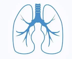 肺癌的全面解析：分类、诊断与治疗