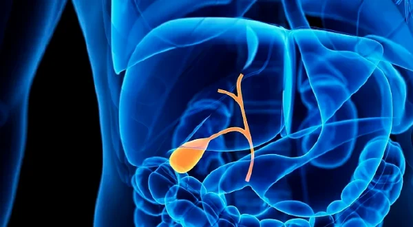 胆囊息肉是怎么回事?老年人需要注意的健康问题!