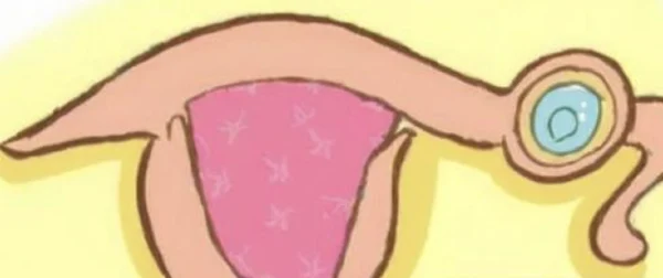 异位妊娠：你必须知道的那些事！