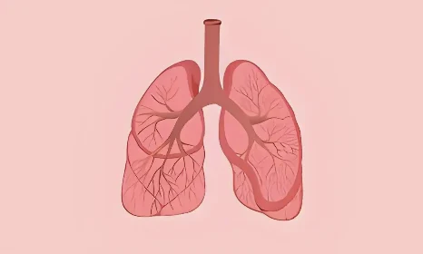 小细胞肺癌:必须警惕的致命杀手