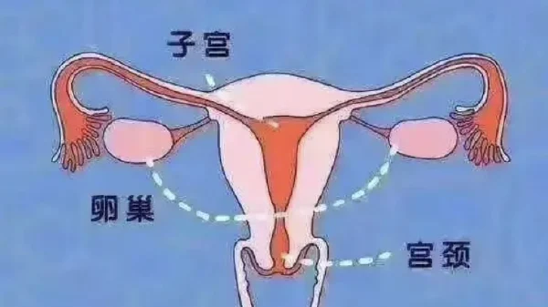 宫颈癌的诊断与预防:关注女性健康,预防宫颈癌迫在眉睫