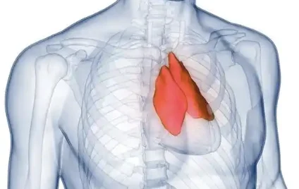 走进胸腺瘤:深度解析与科普指南