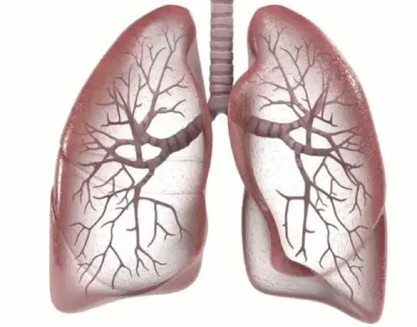 肺癌患者的生存指南——你需要了解的治疗和预防知识！