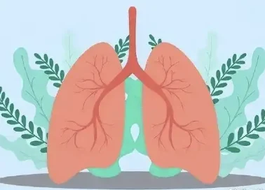 全面了解肺癌:从病因到治疗