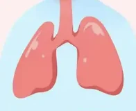 深入肺癌之谜:肺鳞癌的诊断与预防