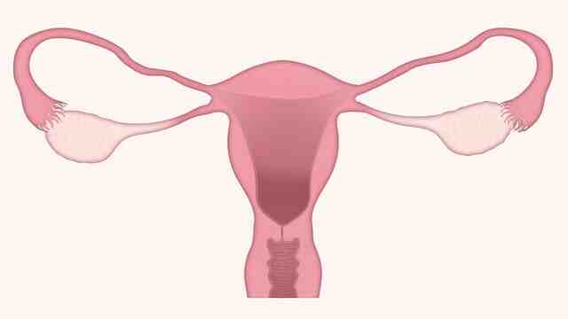 深度解析女性更年期综合征：诊断与管理全指南封面图