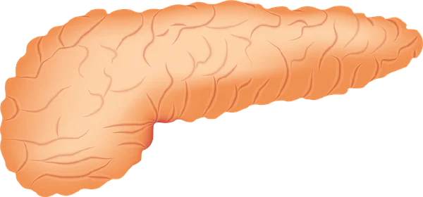 全面探讨急性胰腺炎及其并发症的科学管理