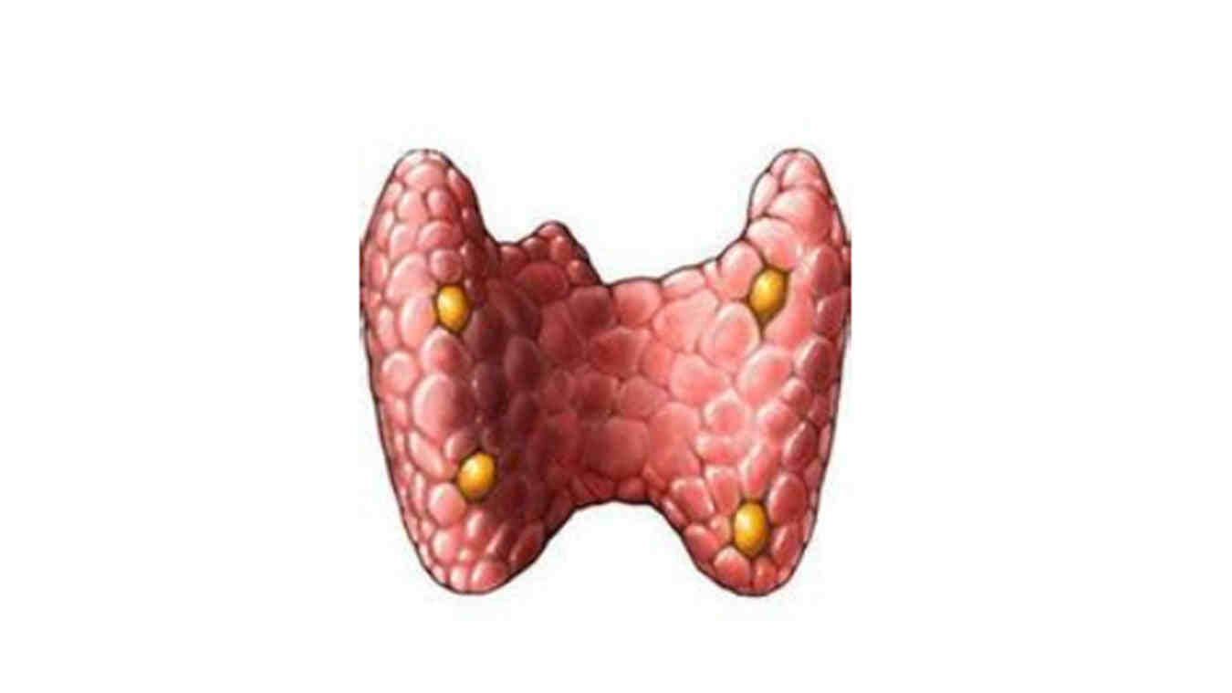 甲状腺肿瘤手术麻醉：如何确保安全与<span style="color: #da4707">效果</span>？