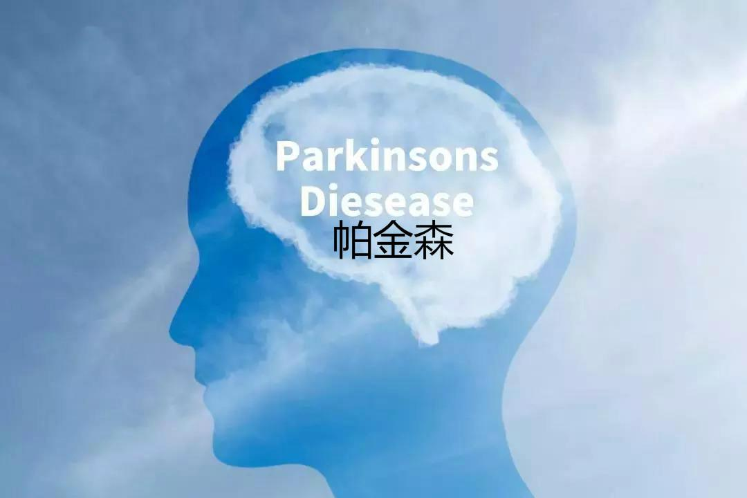 <span style="color: #da4707">帕金森</span><span style="color: #da4707">综合征</span>：从诊断到治疗的科学指南