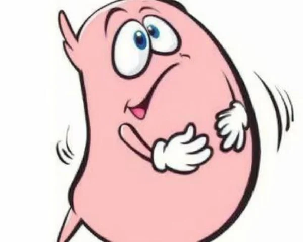 关注慢性胃肠炎:了解病因、治疗与预防