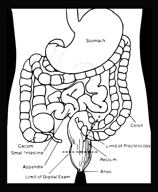 科普，<span style="color: #da4707">痔疮</span>、便秘、胃肠炎：小毛病背后隐藏的大<span style="color: #da4707">健康</span>隐患