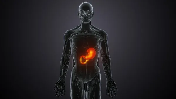 胆囊结石手术麻醉:如何实现精准镇痛与快速康复?
