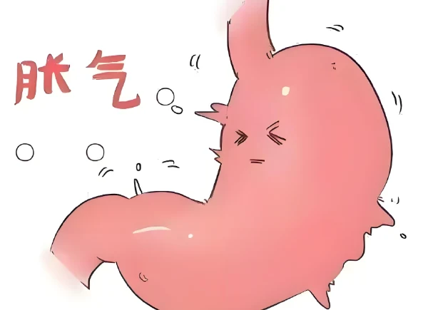 腹胀与胃扩张的全面解析:成因、诊断及治疗