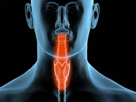慢性胃炎、高血压及呼吸道感染的多疾病共管理策略