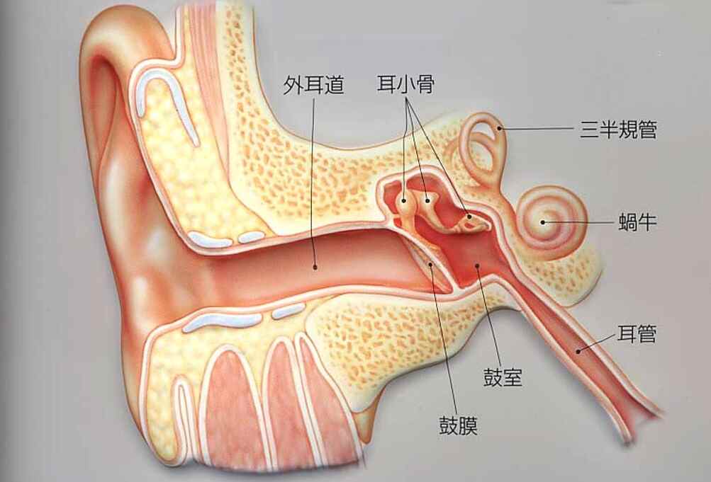 全面解析<span style="color: #da4707">中耳</span>炎：病因、<span style="color: #da4707">诊断</span>及科学管理