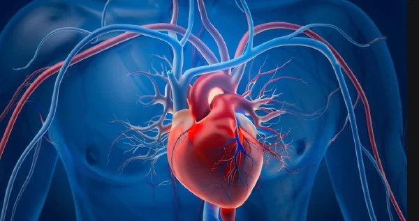 心血管三重打击!高血压、冠心病与脑动脉供血不足的隐忧