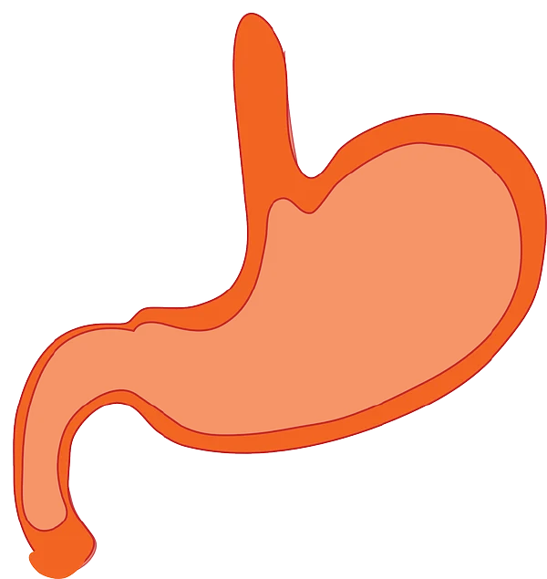 胃痛与胃肠炎：病因、诊断及治疗详解