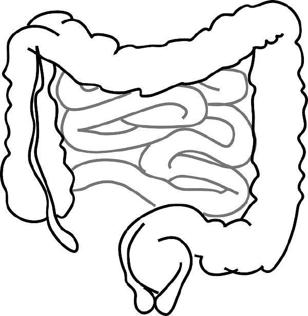 直肠梗阻的全面管理：从诊断到治疗及生活调整