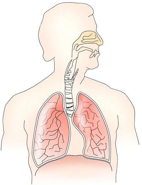 肺部结节不可轻视!了解肺部疾病与健康管理