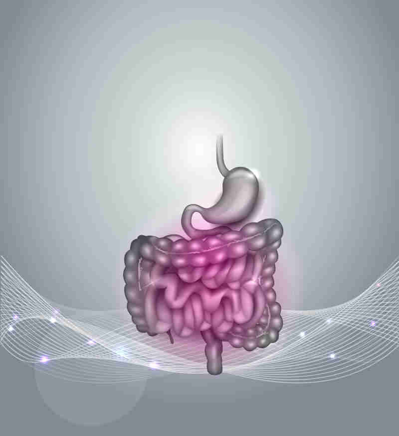 全面解析消化道疾病：慢性萎缩性胃炎和肠息肉的诊疗指南