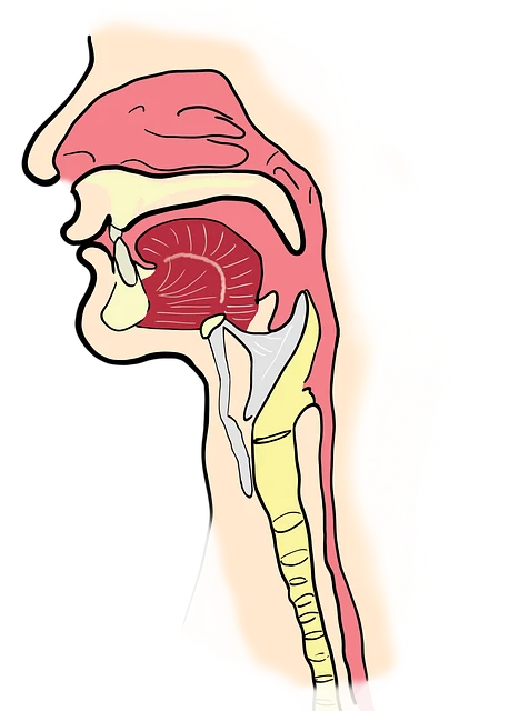 战胜咽喉不适:走进急性咽炎的治疗和预防!