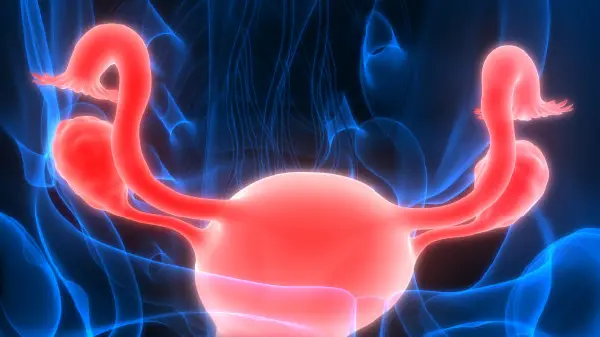 全面解析慢性阴道炎与宫颈糜烂：从诊断到治疗的全程管理