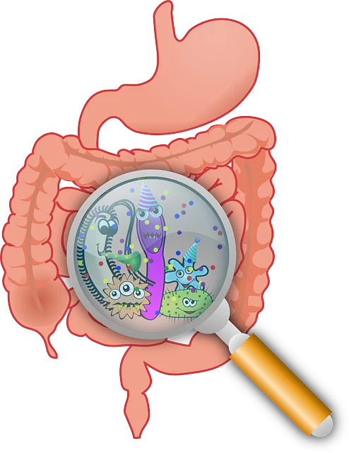 慢性胃炎与消化不良——如何科学应对和预防?