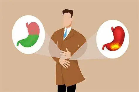 关注消化健康：探索消化不良和常见消化系统疾病的原因、治疗和预防