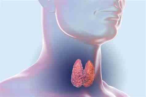 如何正确使用左甲状腺素钠片——合理用药，健康为先！封面图