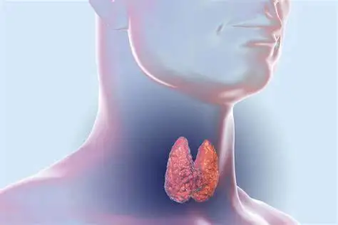 如何正确使用左甲状腺素钠片——合理用药，健康为先！