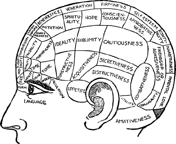 抗癌药物背后的科学——揭开脑部胶质瘤治疗的秘密!