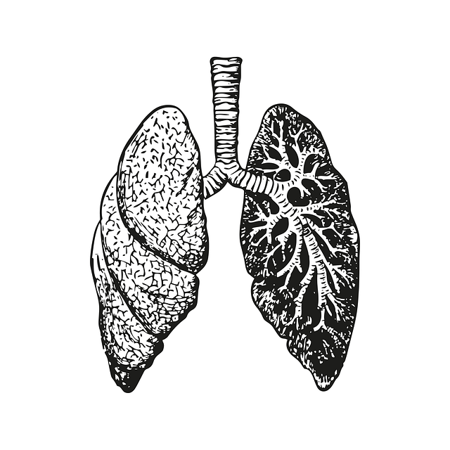 慢性阻塞性肺病(copd)的全面管理：从诊断到治疗