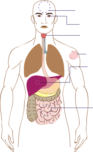 低钾血症：潜在的健康威胁