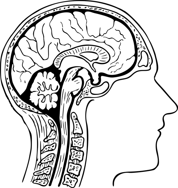 <span style="color: #da4707">结核性</span>脑膜炎的临床诊断与治疗