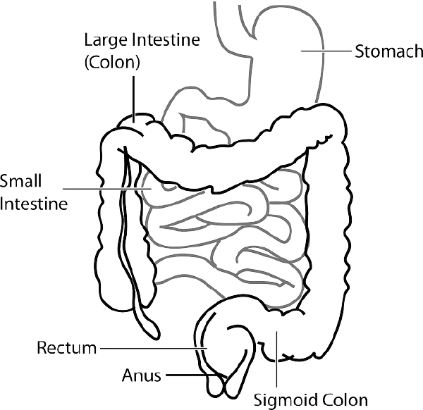 胃肠炎的多维度解析与科学管理
